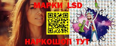 шишки Тара