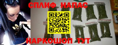 шишки Тара