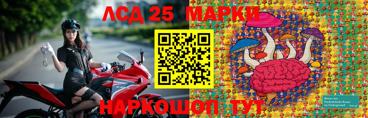 Марки NBOMe 1,5мг  Марки NBOMe 1,5мг  Ноябрьск  Вход с VPN 